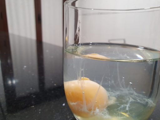 Interpretacion De Limpieza Del Huevo Limpia